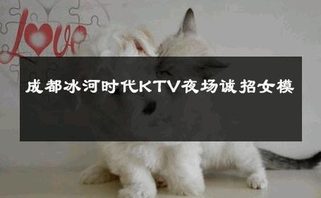 成都冰河时代KTV夜场诚招女模 