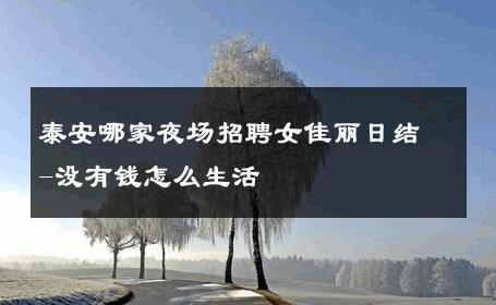 泰安哪家夜场招聘女佳丽日结-没有钱怎么生活 