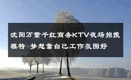 沈阳万紫千红商务KTV夜场招揽模特-梦想靠自己工作氛围好 