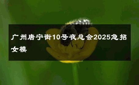 广州唐宁街10号夜总会2025急招女模 