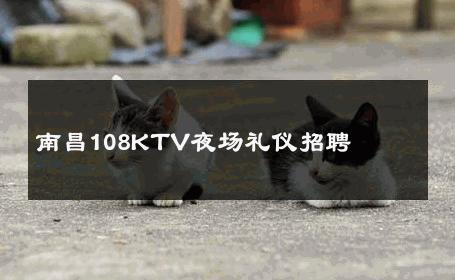 南昌108KTV夜场礼仪招聘 