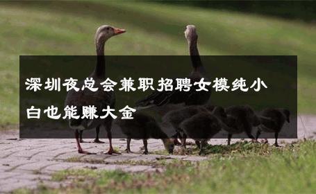深圳夜总会兼职招聘女模纯小白也能赚大金 