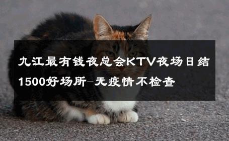 九江最有钱夜总会KTV夜场日结1500好场所-无疫情不检查 