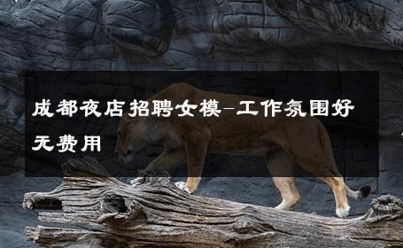 成都夜店招聘女模-工作氛围好无费用 