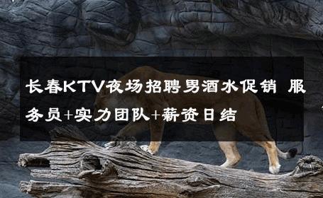长春KTV夜场招聘男酒水促销 服务员+实力团队+薪资日结 