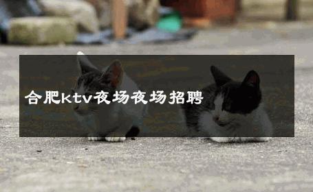 合肥ktv夜场夜场招聘 