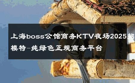 上海boss公馆商务KTV夜场2025招聘模特-纯绿色正规商务平台 