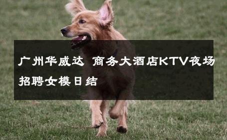 广州华威达 商务大酒店KTV夜场招聘女模日结 