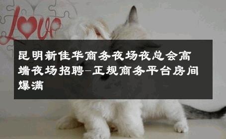 昆明新佳华商务夜场夜总会高端夜场招聘-正规商务平台房间爆满 
