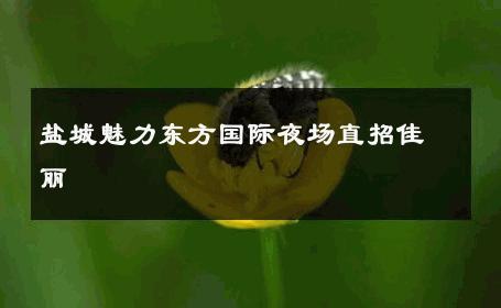 盐城魅力东方国际夜场直招佳丽 