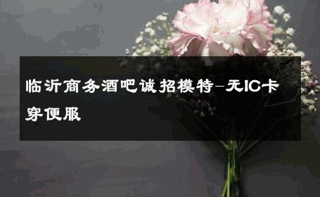 临沂商务酒吧诚招模特-无IC卡穿便服 