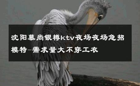 沈阳慕尚银樽ktv夜场夜场急招模特-需求量大不穿工衣 
