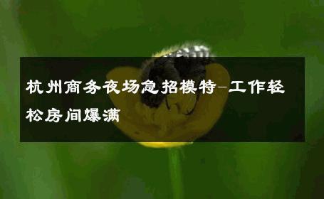 杭州商务夜场急招模特-工作轻松房间爆满 