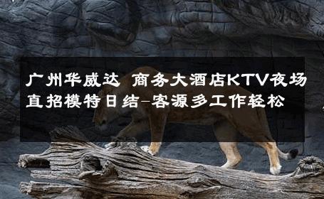 广州华威达 商务大酒店KTV夜场直招模特日结-客源多工作轻松 