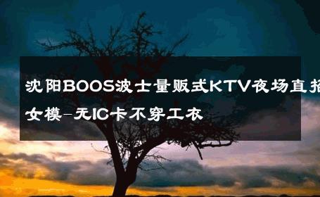 沈阳BOOS波士量贩式KTV夜场直招女模-无IC卡不穿工衣 