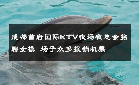 成都首府国际KTV夜场夜总会招聘女模-场子众多报销机票 