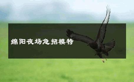 绵阳夜场急招模特 