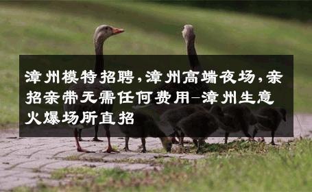 漳州模特招聘,漳州高端夜场,亲招亲带无需任何费用-漳州生意火爆场所直招