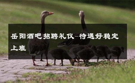 岳阳酒吧招聘礼仪-待遇好稳定上班 