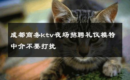 成都商务ktv夜场招聘礼仪模特中介不要打扰 