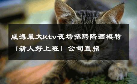 威海最大ktv夜场招聘陪酒模特「新人好上班」公司直招 