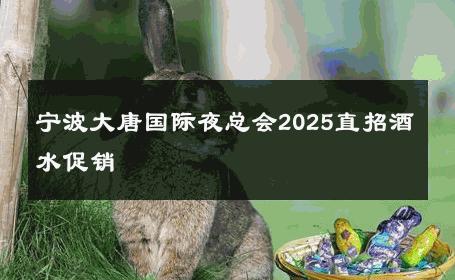 宁波大唐国际夜总会2025直招酒水促销 