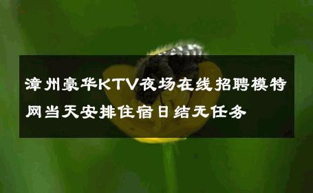 漳州豪华KTV夜场在线招聘模特网当天安排住宿日结无任务 