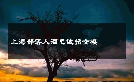 上海部落人酒吧诚招女模 