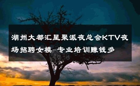 湖州大都汇星聚派夜总会KTV夜场招聘女模-专业培训赚钱多 