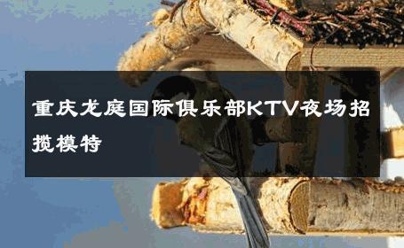 重庆龙庭国际俱乐部KTV夜场招揽模特 