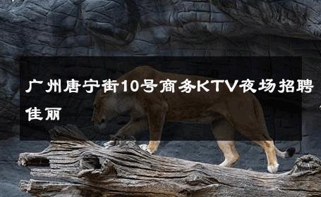 广州唐宁街10号商务KTV夜场招聘佳丽 