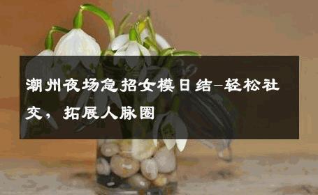 潮州夜场急招女模日结-轻松社交，拓展人脉圈 