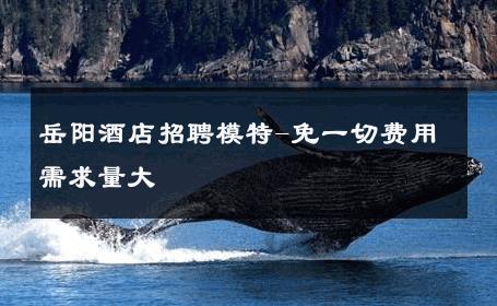 岳阳酒店招聘模特-免一切费用需求量大 