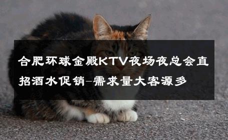 合肥环球金殿KTV夜场夜总会直招酒水促销-需求量大客源多 