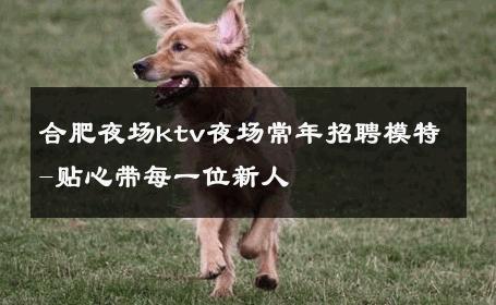 合肥夜场ktv夜场常年招聘模特-贴心带每一位新人 
