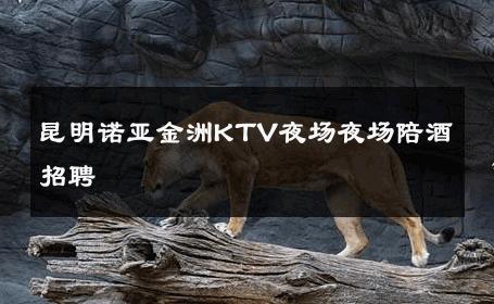 昆明诺亚金洲KTV夜场夜场陪酒招聘 