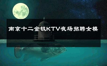 南京十二金钗KTV夜场招聘女模 