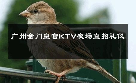 广州金门皇宫KTV夜场直招礼仪 