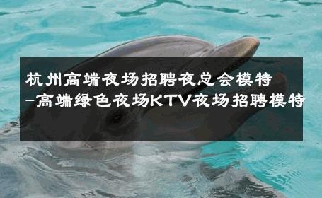 杭州高端夜场招聘夜总会模特-高端绿色夜场KTV夜场招聘模特 