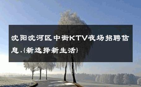 沈阳沈河区中街KTV夜场招聘信息.{新选择新生活} 