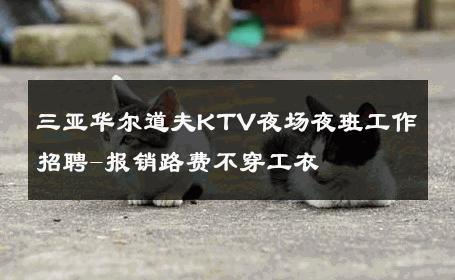 三亚华尔道夫KTV夜场夜班工作招聘-报销路费不穿工衣 