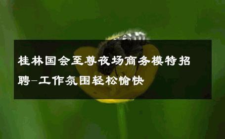 桂林国会至尊夜场商务模特招聘-工作氛围轻松愉快 