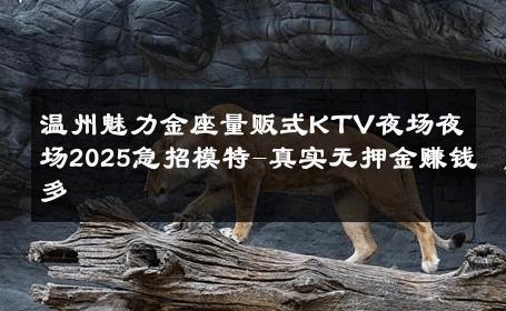 温州魅力金座量贩式KTV夜场夜场2025急招模特-真实无押金赚钱多 