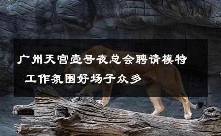 广州天宫壹号夜总会聘请模特-工作氛围好场子众多 