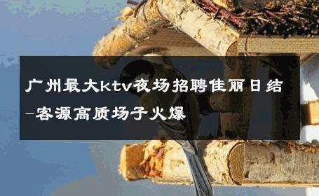 广州最大ktv夜场招聘佳丽日结-客源高质场子火爆 