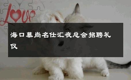 海口慕尚名仕汇夜总会招聘礼仪 