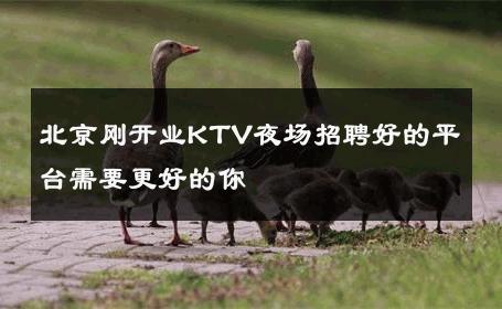 北京刚开业KTV夜场招聘好的平台需要更好的你 