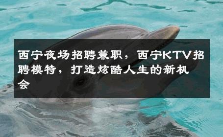 西宁夜场招聘兼职，西宁KTV招聘模特，打造炫酷人生的新机会