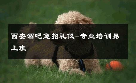 西安酒吧急招礼仪-专业培训易上班 