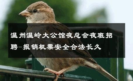 温州温岭大公馆夜总会夜班招聘-报销机票安全合法长久 